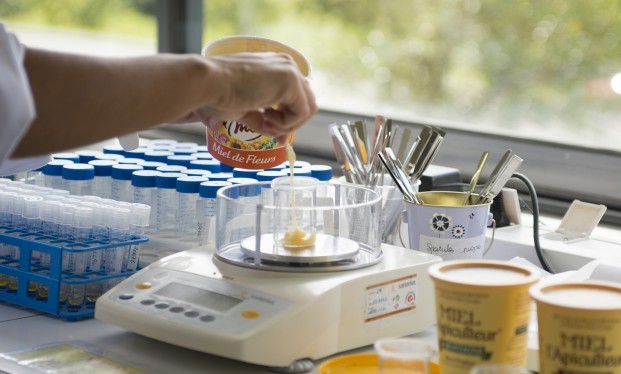 Mars 2013 Analyse miel de fleurs - laboratoire FMA