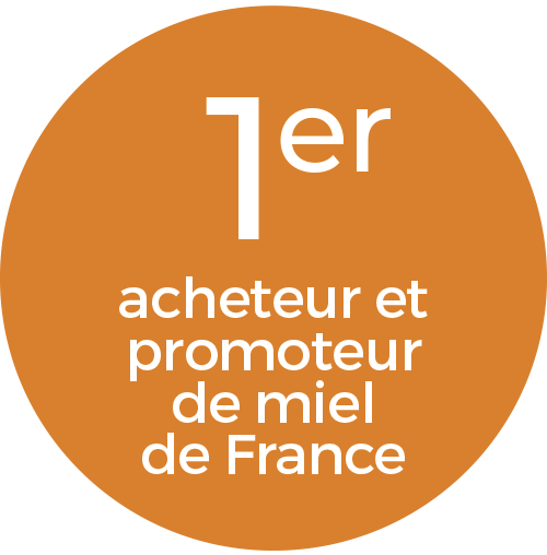 Accueil