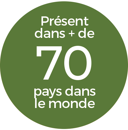 Accueil