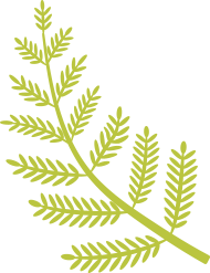 00-histo
