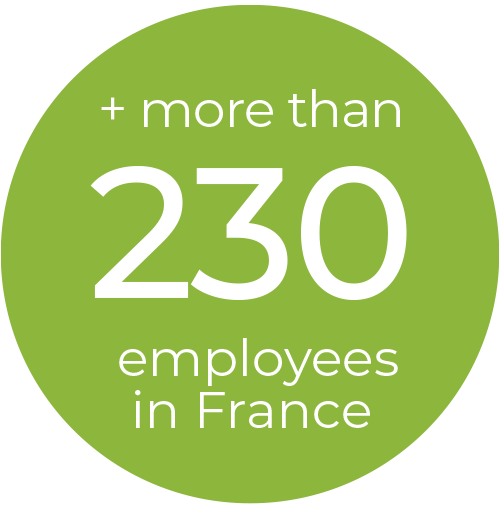 More than 230 employees en France