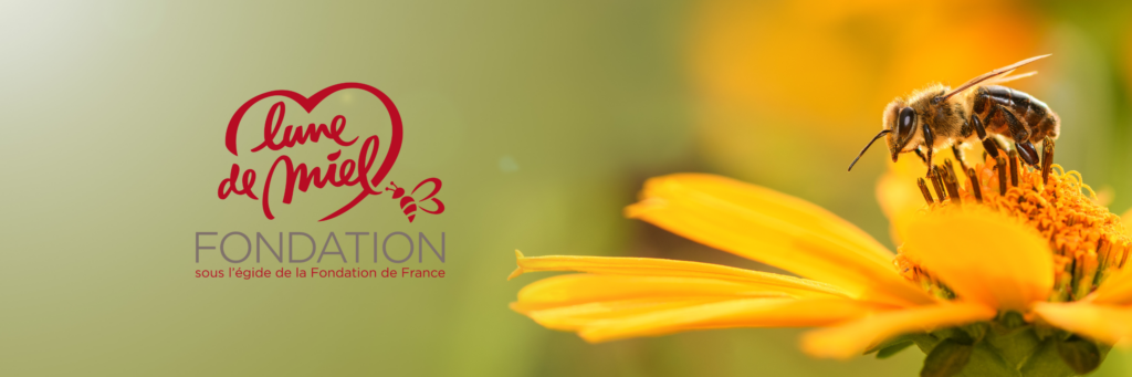 Les projets soutenus par la fondation Lune de Miel en 2025