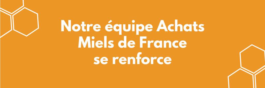 Orange banner announcing that the Miels de France Purchasing team is expanding or strengthened, with white hexagon outlines on the corners.