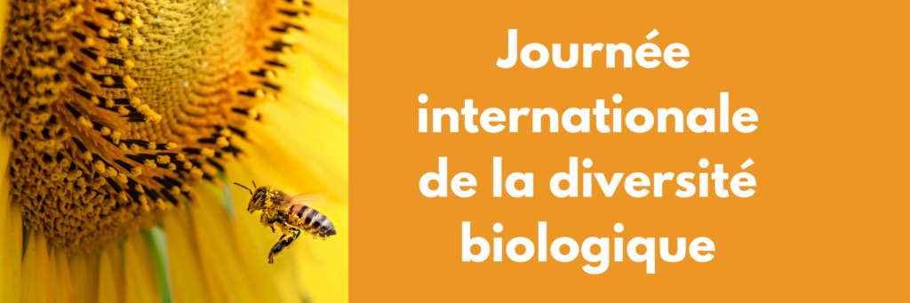 Journée internationale de la diversité biologique